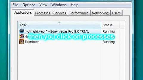 how to play 2 toontowns at the same time