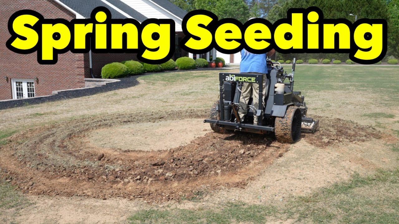 Оценка состояния газона и посадка семян бермудской травы в режиме реального времени