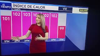 Elena Tabraue Red Outfit El Tiempo Univision Tampa Bay 