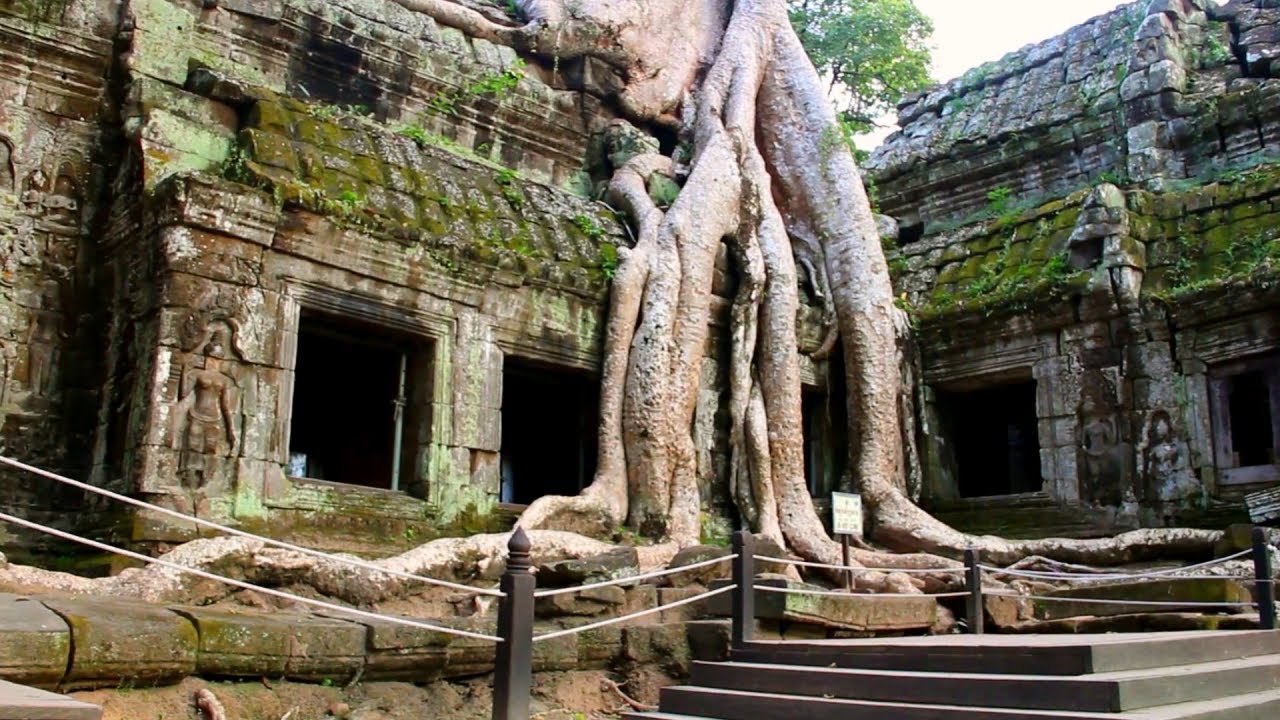 Angkor: Ancient Mega City in the Jungle