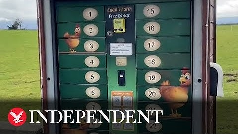 American tourists discover egg vending machine in Ireland