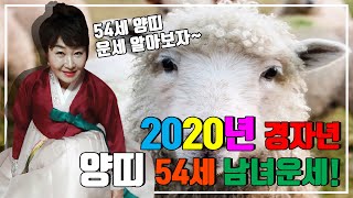2020경자년 양띠 54세 남녀 운세! (전국유명점집 광명점집 서울점집 강남점집 시흥점집 목동점집 안양점집)…