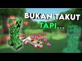 Creeper Tidak Takut Kucing,Tapi....