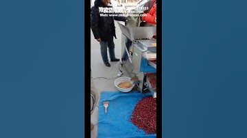 Auto Feeding Chili Segment Cutting Machine