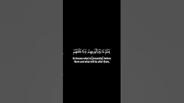 كروما ايات قرانية  ( اية الكرسي)  بصوت القارئ عبدالله الموسى