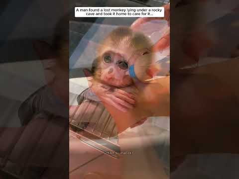 A man found