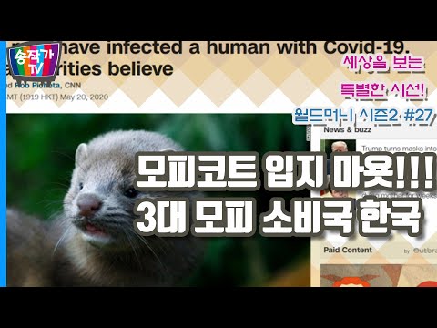 밍크코트 입지 마욧!!! // 3대 모피소비국인 대한한국의 현실과 잔인한 모피 생산 공정의 진실!