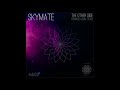 Skymate The Other Side Ticko Remix Ambivertal mp3