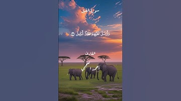 سورة الفيل#قرآن #احاديث #الرقية_الشرعية #اكسبلور #السنة_النبوية #لايك