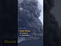 IN A MINUTE: Indonesian hiker narrowly escapes volcanic eruption #shorts