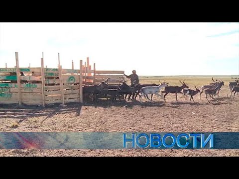 Новости 'ТВ Студия