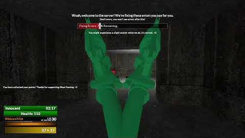 Gmod: [Moat TTT] Dual M16?!?!?!