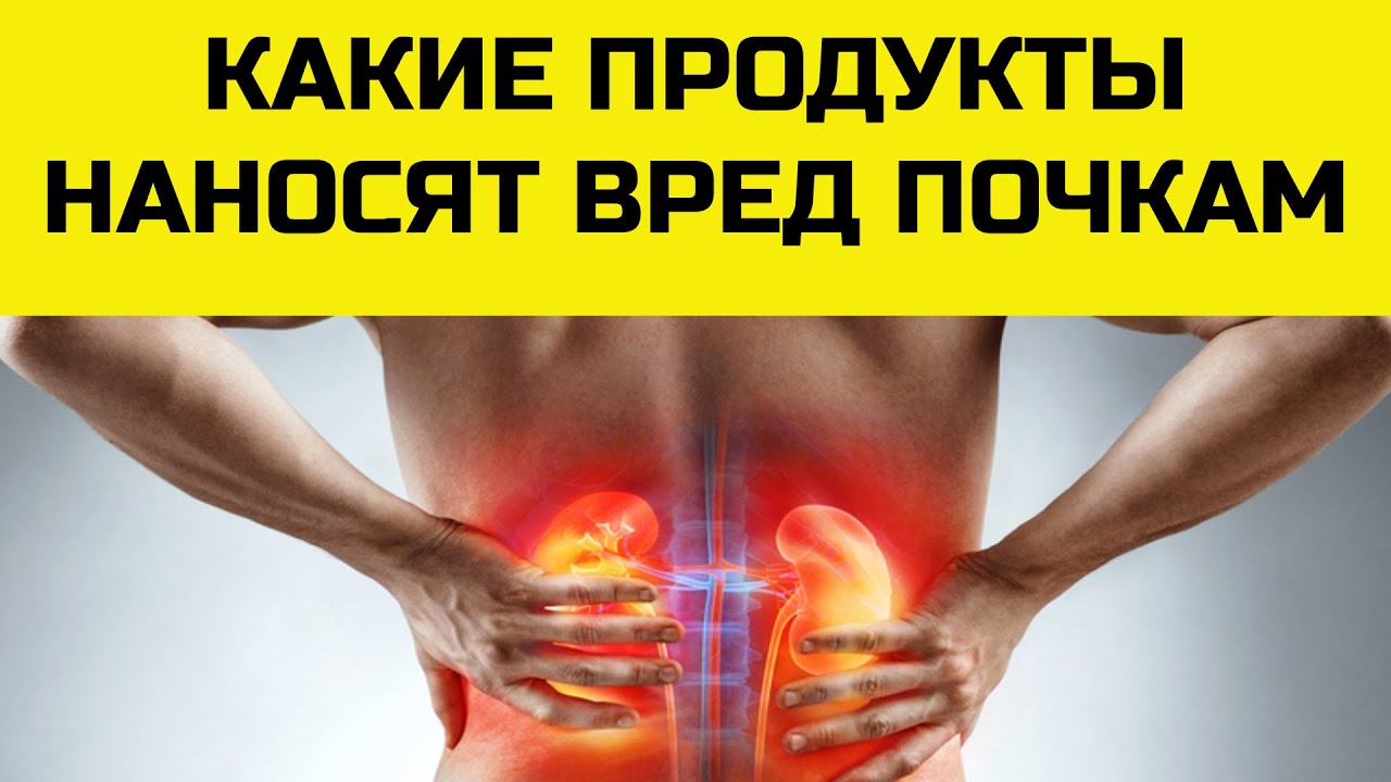 что полезно для почек а что вредно. продукты разрушающие почки.