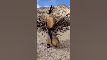 An ancient religion, shamanism, a wizard is praying. #shorts #china #folk #travel #religion