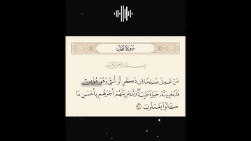 سورة النحل(اكتب شيء تؤجر عليه😴🎧 #quran #القرآن_الكريم )