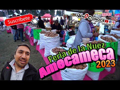 FERIA DE LA NUEZ 2023 AMECAMECA
