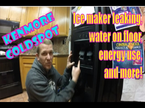 Kenmore Coldspot Ice Maker Leaking