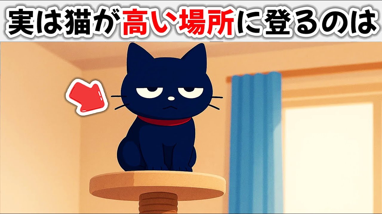 【猫の雑学】99％が知らない猫に関する雑学20選 #雑学 #豆知識  #トリビア