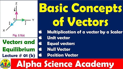 What is a Unit Vector? (in Urdu Hindi)