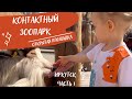 Контактный зоопарк в Иркутске. Часть 1