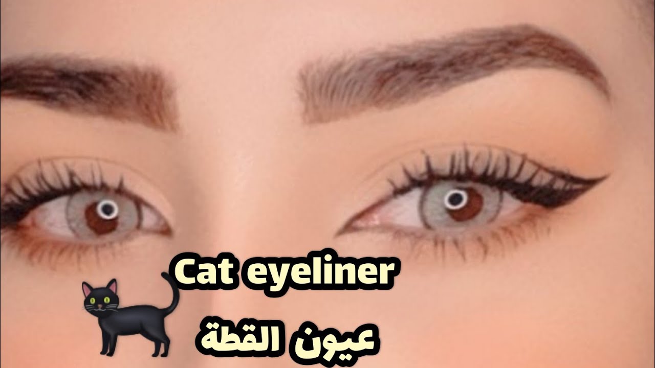 طريقة رسم الأيلاينر المزدوج + مدمع العين للمبتدئات👁كيفاش يصدق معاك أيلاينر المفتوح او أيلاينر الهبه✔