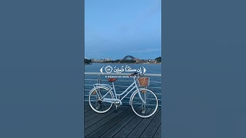 تلاوة من سورة الانبياء للقارئ عز الدين العوامي 🤍 #قرآن #quran