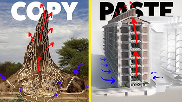 The $0 Air Conditioning System Built by Bugs