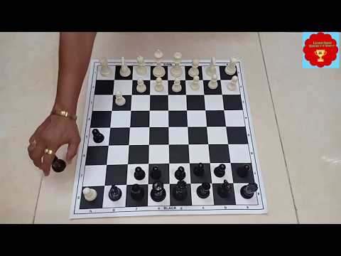 LEARN CHESS FOR BEGINNERS-बुद्धीबळ रचना आणि नियम