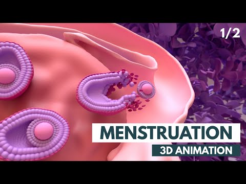 Video: Kaip paaiškinti berniukams menstruacijas: 13 žingsnių (su nuotraukomis)