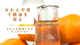 【みんな損してる】みかんの皮でアロマオイル・精油がたくさん作れるよ  How to make orange essential oils .