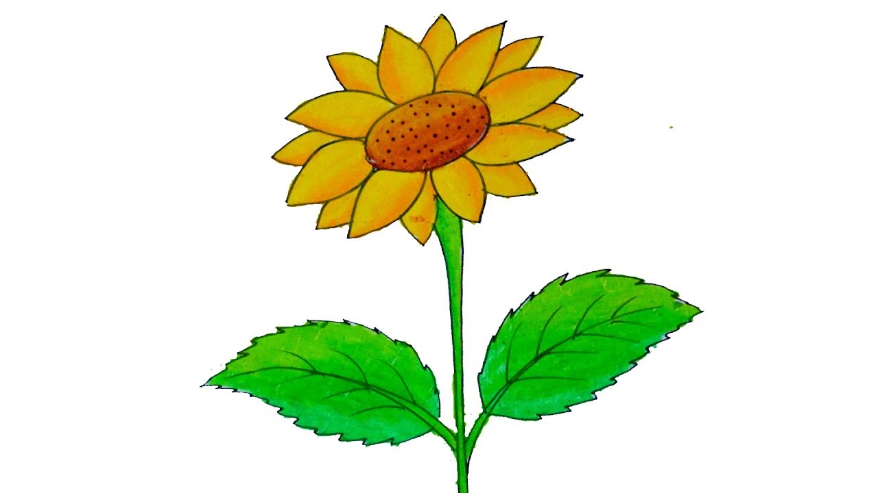 Featured image of post How To Draw Sunflower Petals Easy / Just like in the my other two flower the first sunflower leaf in this tutorial looks a bit like a heart.