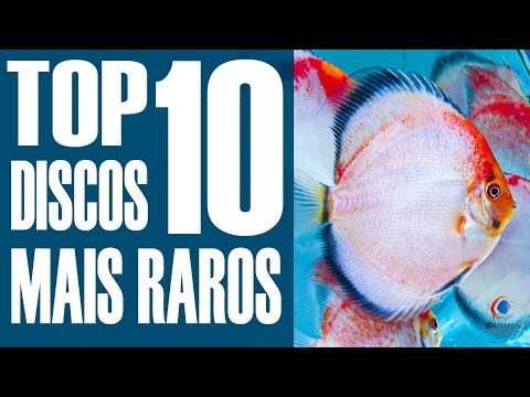 Top 10 Variantes