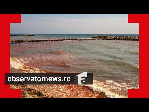 Marea Neagră a devenit roşie, iar valurile sunt noaptea fosforescente. Explicaţia cercetătorilor