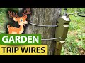 When Deer Invade Your Garden