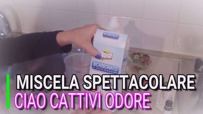 🛋 Come pulire il divano - Clean with me - Vaporetto 