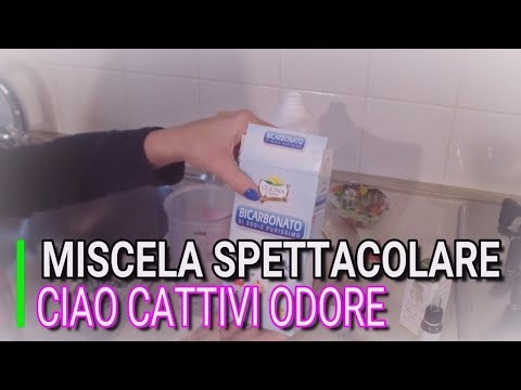 Video: Guidare con gli animali domestici? 6 suggerimenti per mantenere la tua auto pulita e senza odori