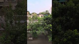 House#beautiful#weather#awesome#greenery#greenaround#pahad🤩💚❤️