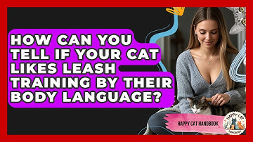 How Can You Tell If Your Cat Likes Leash Training By Their Body Language? - Happy Cat Handbook