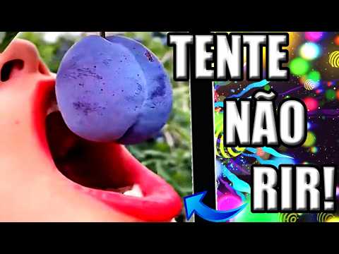 1 HORA DE EDIÇÃO DORGAS - ENGOLIU TUDO - TENTE NÃO RIR IMPOSSÍVEL (NÍVEL EXTREMO)