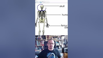 Smart Notebook in 1 minute:  The magic pen