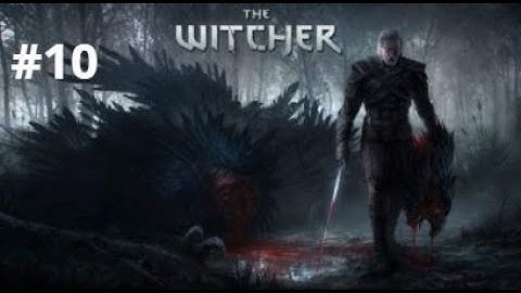 THE WITCHER 3 WILD HUNT Playthrough Part 10 -  Nilfgaardian Connection (No Commentary)