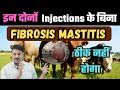      fibrosis mastitis treatment with two injection   ramawat vets club