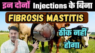 खराब से ख़राब थनैला  Fibrosis Mastitis Treatment with two Injection   Ramawat Vets Club