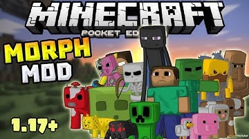 How to convery into any mob in minecraft pe/bedrock 1.17 - Morph add-ons for minecraft |Morph V5 Mod