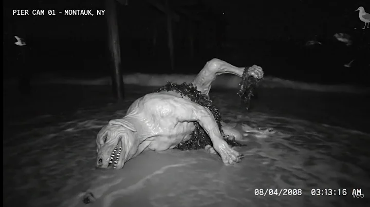 Mysterious Creature Caught on Ring Camera? What Could It Be😨 #mystery #shorts #fyp@fridaythe13th_TV 