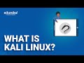 What is Kali Linux | Kali Linux Hacking Tutorials | Ethical Hacking Training | Edureka Rewind