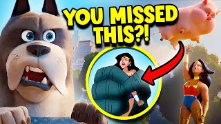 Only Real Dc Fans Will Notice This Easter Egg In Dc League Of Super Pets..