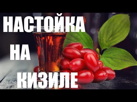 Настойка на кизиле #1. Начало.