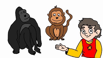 The development and evolution of language