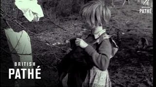 Gypsies (1952)